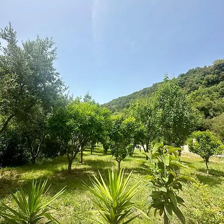 Apartman Fabio Gjiri I Lalzit Durrës