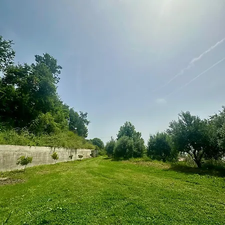 Fabio Gjiri I Lalzit *