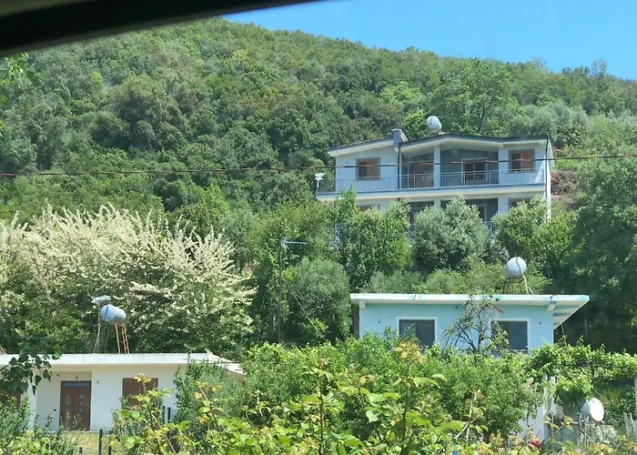 Fabio Gjiri I Lalzit Daire Dıraç