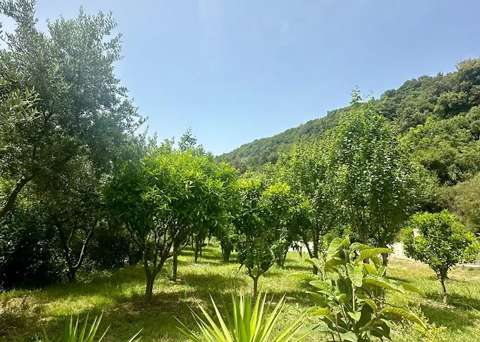 Daire Fabio Gjiri I Lalzit Dıraç