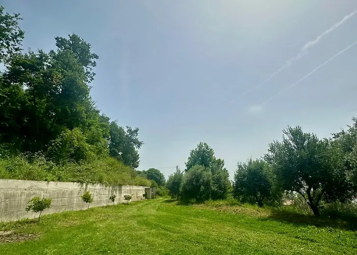 Fabio Gjiri I Lalzit *